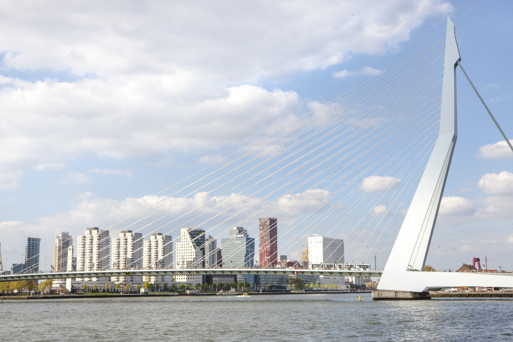 Fotograf holland Rotterdam Erasmusbruecke Schwan 5