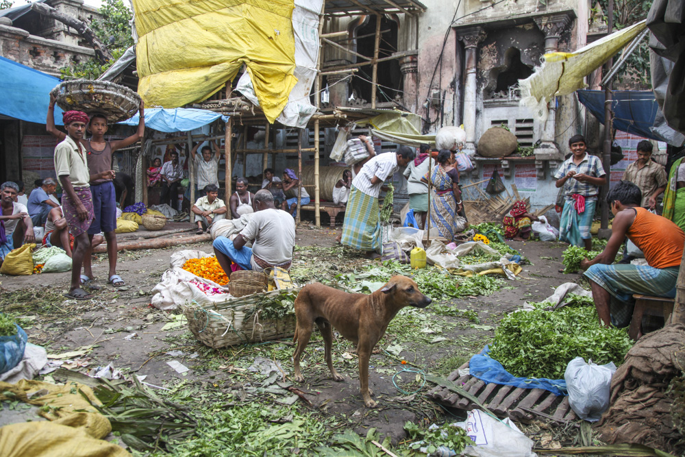 blumenmarkt kalkutta kolkata iniden