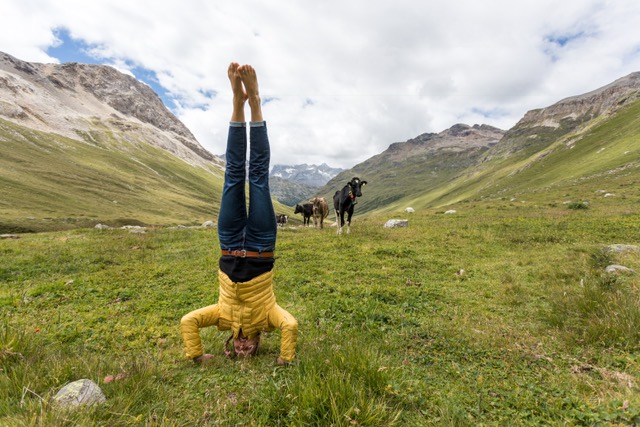 Barfuß, Barfußlaufen, Barfußwandern, Schweiz, Kopfstand, Yoga, Fotograf, Berge, Alp, Bergwandern, Kuh, Yogafotograf
